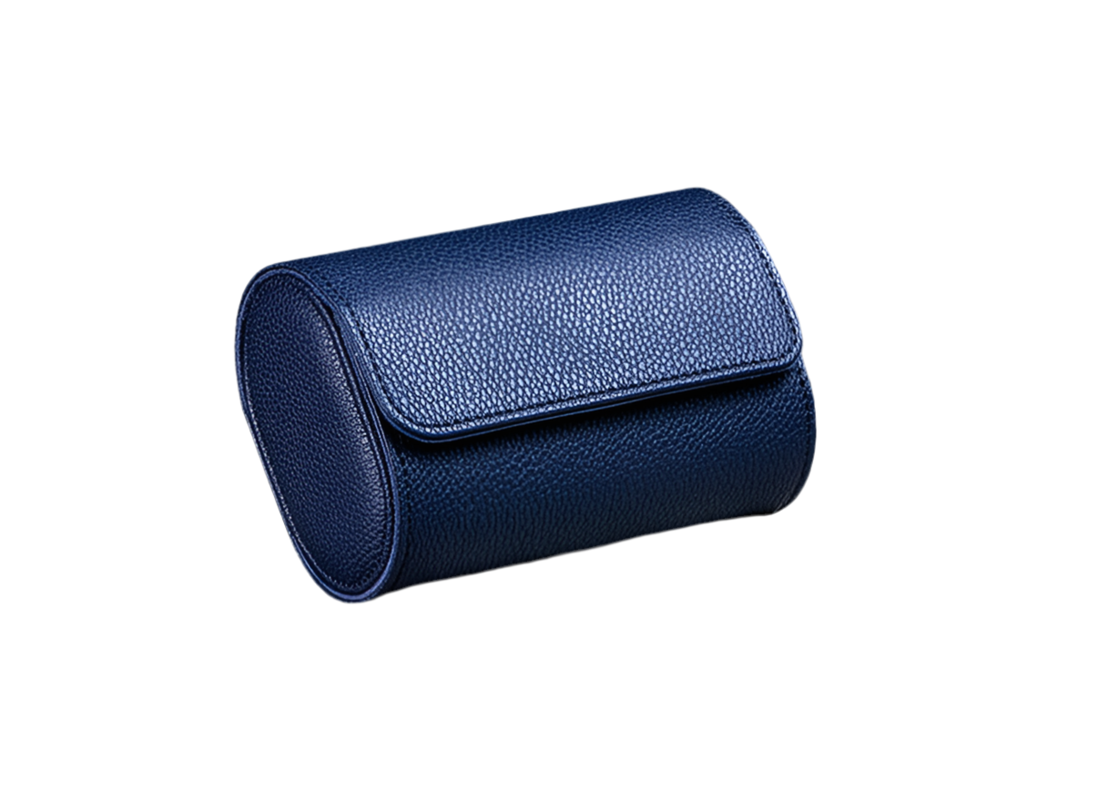 Watch travel case