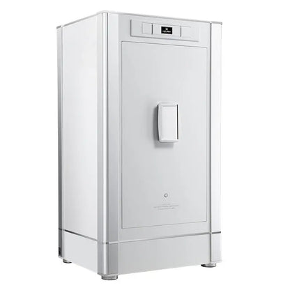 Embers high-end watch vault